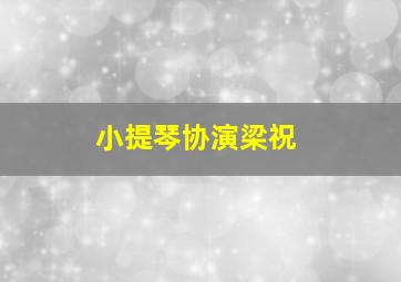 小提琴协演梁祝