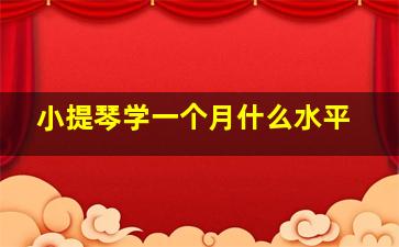 小提琴学一个月什么水平