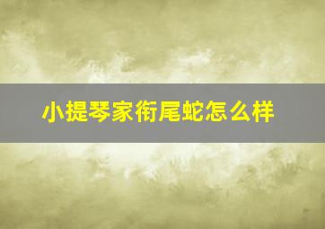 小提琴家衔尾蛇怎么样