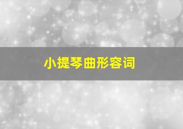 小提琴曲形容词