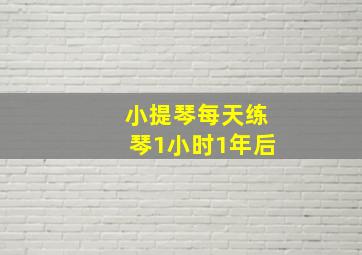 小提琴每天练琴1小时1年后