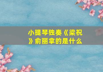 小提琴独奏《梁祝》俞丽拿的是什么