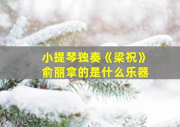 小提琴独奏《梁祝》俞丽拿的是什么乐器