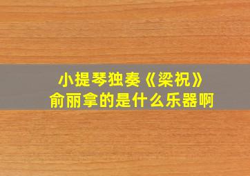 小提琴独奏《梁祝》俞丽拿的是什么乐器啊