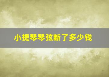 小提琴琴弦断了多少钱