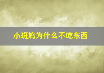 小斑鸠为什么不吃东西