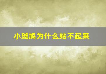 小斑鸠为什么站不起来