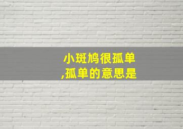 小斑鸠很孤单,孤单的意思是