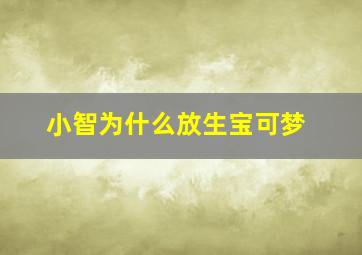 小智为什么放生宝可梦