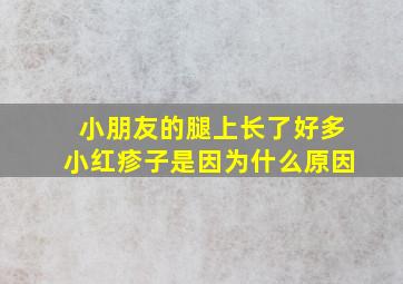 小朋友的腿上长了好多小红疹子是因为什么原因