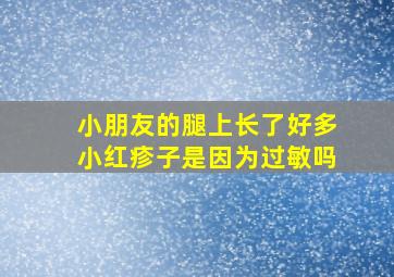 小朋友的腿上长了好多小红疹子是因为过敏吗