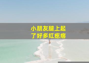 小朋友腿上起了好多红疙瘩