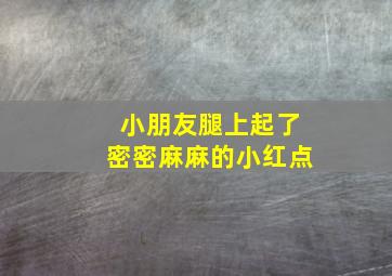 小朋友腿上起了密密麻麻的小红点