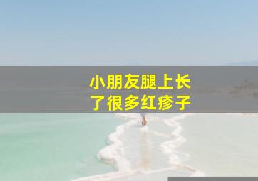 小朋友腿上长了很多红疹子