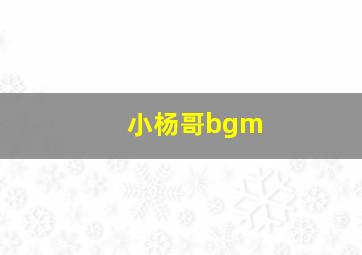 小杨哥bgm