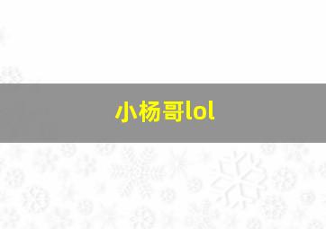 小杨哥lol