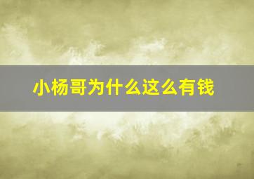 小杨哥为什么这么有钱