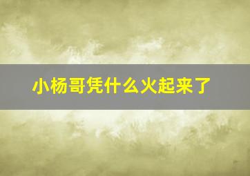 小杨哥凭什么火起来了