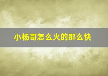 小杨哥怎么火的那么快