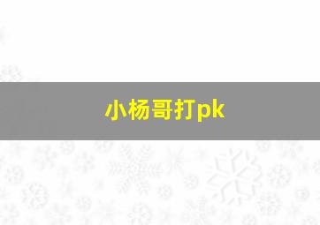 小杨哥打pk