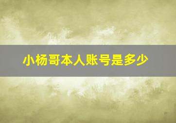 小杨哥本人账号是多少