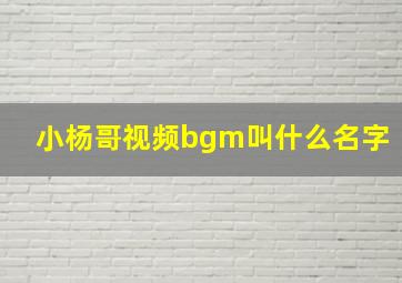 小杨哥视频bgm叫什么名字