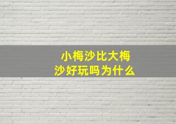 小梅沙比大梅沙好玩吗为什么