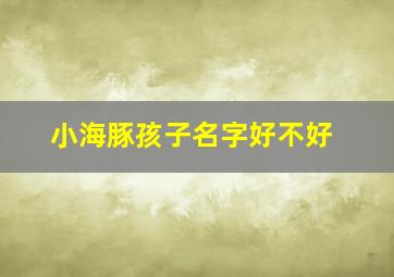 小海豚孩子名字好不好