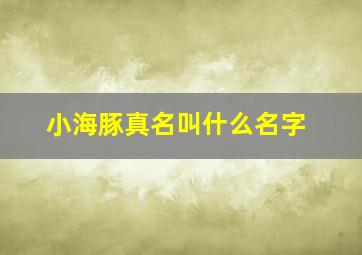 小海豚真名叫什么名字