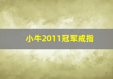 小牛2011冠军戒指