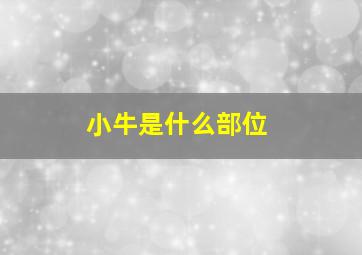 小牛是什么部位