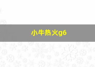 小牛热火g6