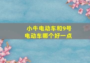 小牛电动车和9号电动车哪个好一点