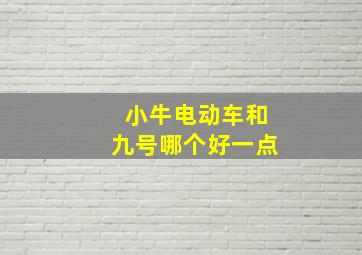 小牛电动车和九号哪个好一点