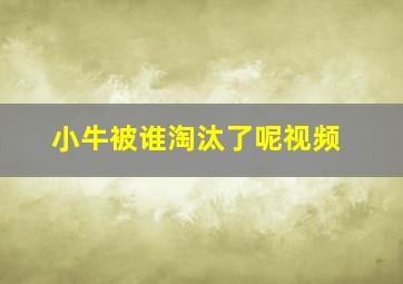 小牛被谁淘汰了呢视频