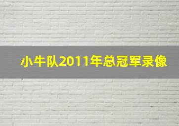 小牛队2011年总冠军录像