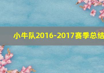 小牛队2016-2017赛季总结