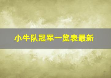 小牛队冠军一览表最新