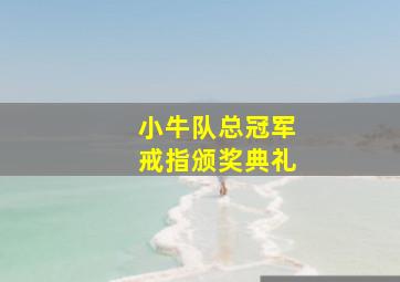 小牛队总冠军戒指颁奖典礼