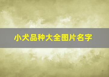 小犬品种大全图片名字