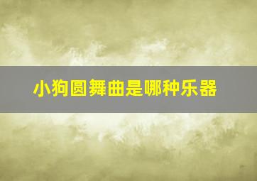 小狗圆舞曲是哪种乐器