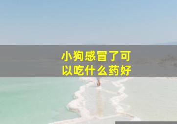 小狗感冒了可以吃什么药好