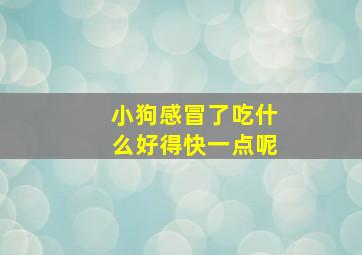 小狗感冒了吃什么好得快一点呢