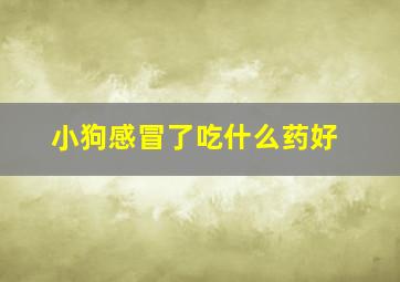 小狗感冒了吃什么药好