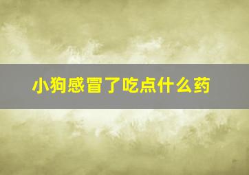 小狗感冒了吃点什么药