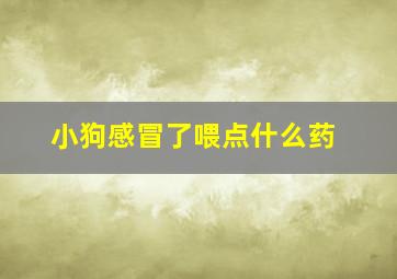 小狗感冒了喂点什么药