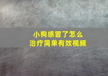 小狗感冒了怎么治疗简单有效视频