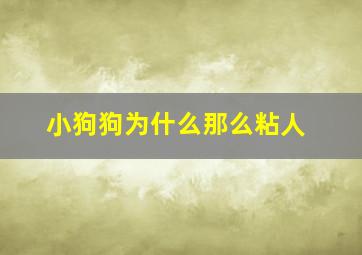 小狗狗为什么那么粘人