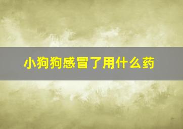 小狗狗感冒了用什么药