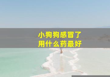 小狗狗感冒了用什么药最好